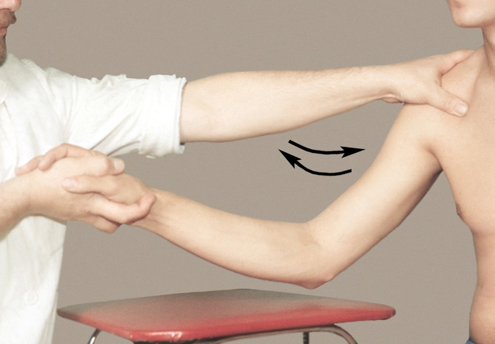 Рис. 4г). Основные приемы массажа. Приемы вибрации — встряхивание (вспомогательный прием вибрации); массажист одной рукой фиксирует пояс верхних конечностей, а другой встряхивает конечность пациента; прием часто используется для расслабления мышц в спортивном массаже