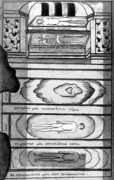 Представления о жизненном цикле человека (формирование сердца, развитие тела, смерть человека). Миниатюра из рукописи Киевского великокняжеского периода