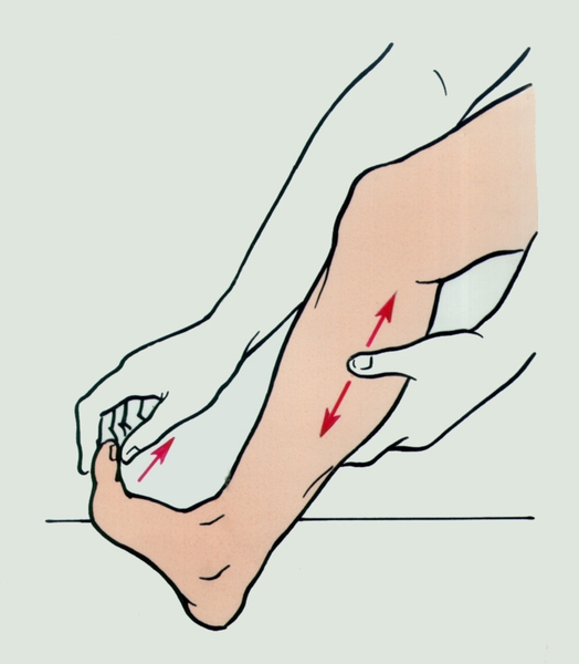 Самопомощь при судороге икроножной мышцы: стрелками показано направление движений рук