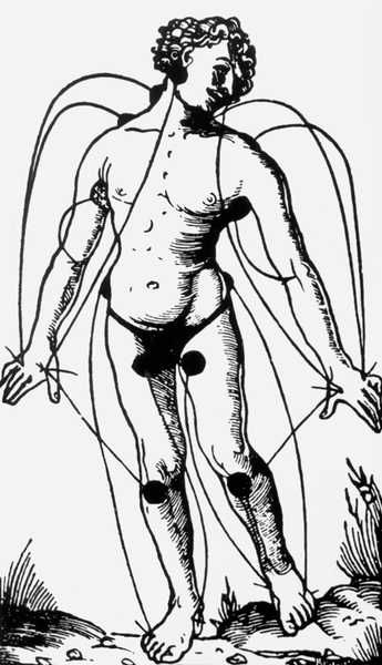 Схематическое изображение человека с точками пережатия сосудов при кровотечении. Рисунок из «Regine contre la pestilebce par les Medicine de Basle», Лион, 1519 г