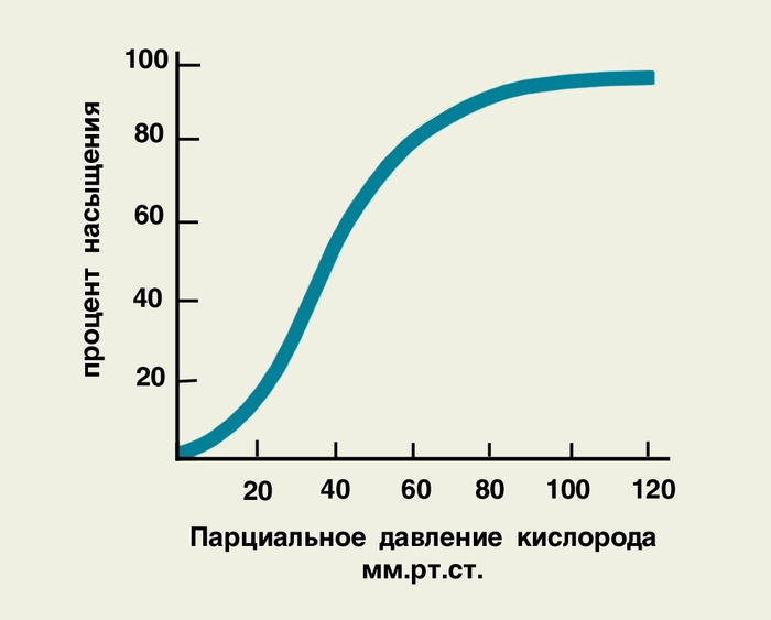 Рис. 2. Кислородно-диссоционная кривая гемоглобина