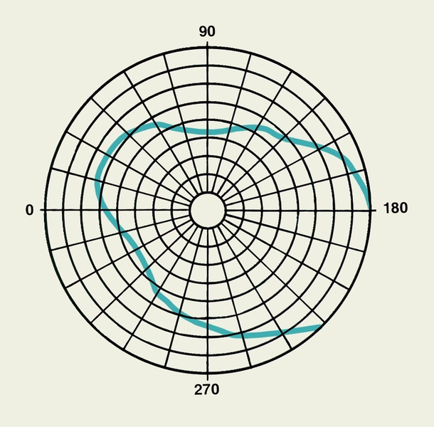 Рис. 2б). Схема нормальных полей зрения (пространство, воспринимаемое глазом при неподвижном взгляде — на рисунке голубая линия); приведена для сравнения