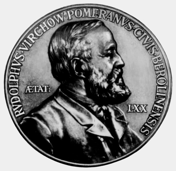 Памятная бронзовая медаль, посвященная Р. Вирхову