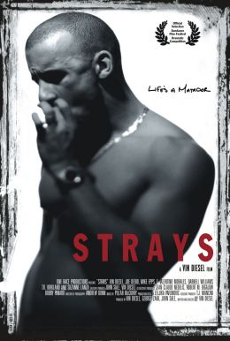 http://dic.academic.ru/pictures/enwiki/83/Strays_movie_poster.jpeg