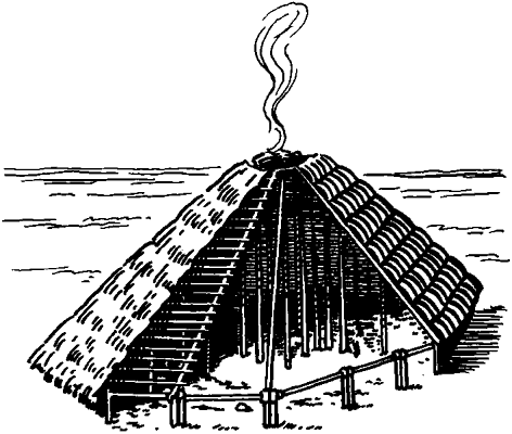 Кельтеминарская культура. Реконструкция жилища.
