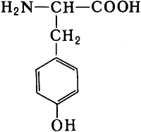 Тирозин.