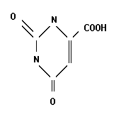orotic acid, оротовая кислота, витамин В13
