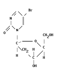 5-bromodeoxyuridine, BrdU, 5-бромдезоксиуридин