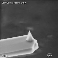 Рис 2. Изображение кантилевера NCS16, полученное в лаборатории МГУ физичес