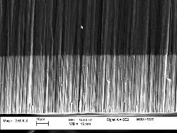 Магнитные нанонити в порах оксида алюминия (фото ФНМ МГУ) 