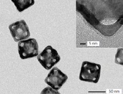 Золотые наноклетки с полимером на поверхности для доставки лекарств (изображение ПЭМ). 