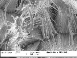 Массив металлических нанопроволок никеля, полученных в порах пористого алюминия электролитически