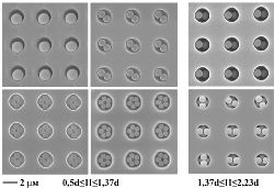 Микрофотографии пространственно-организованных систем микрочастиц в полостях пленок фоторезиста с ра