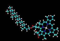 Пространственная модель молекулы хлорофилла a