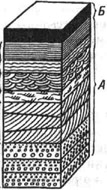 Типы слоистости горных пород: А - пласт песчаника, разделяющийся на слои (1-6) с различными типами слойчатости, или внутренней слоистости: 1 - ритмически-сортированная горизонтальная, 2 - косая, 3 - косоволнистая, 4 - волнистая, 5 -пологоволнистая, 6 - горизонтальная; Б - неслоистая глина