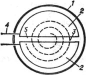 Схема циклотрона: 1 - вакуумная камера; 2 - дуанты; 3 - траектория частиц; 4 - шина высокочастотного генератора; 5 - ускоряющий промежуток