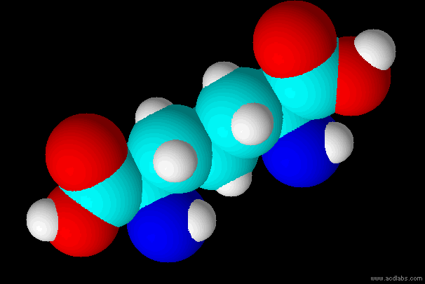 Диаминопимелиновая кислота: вид молекулы
