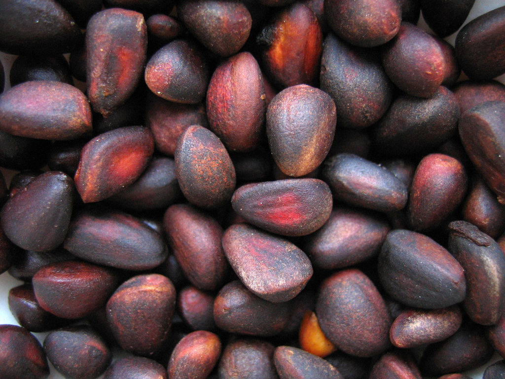 http://dic.academic.ru/pictures/wiki/files/110/nuts_of_a_cedar.jpg