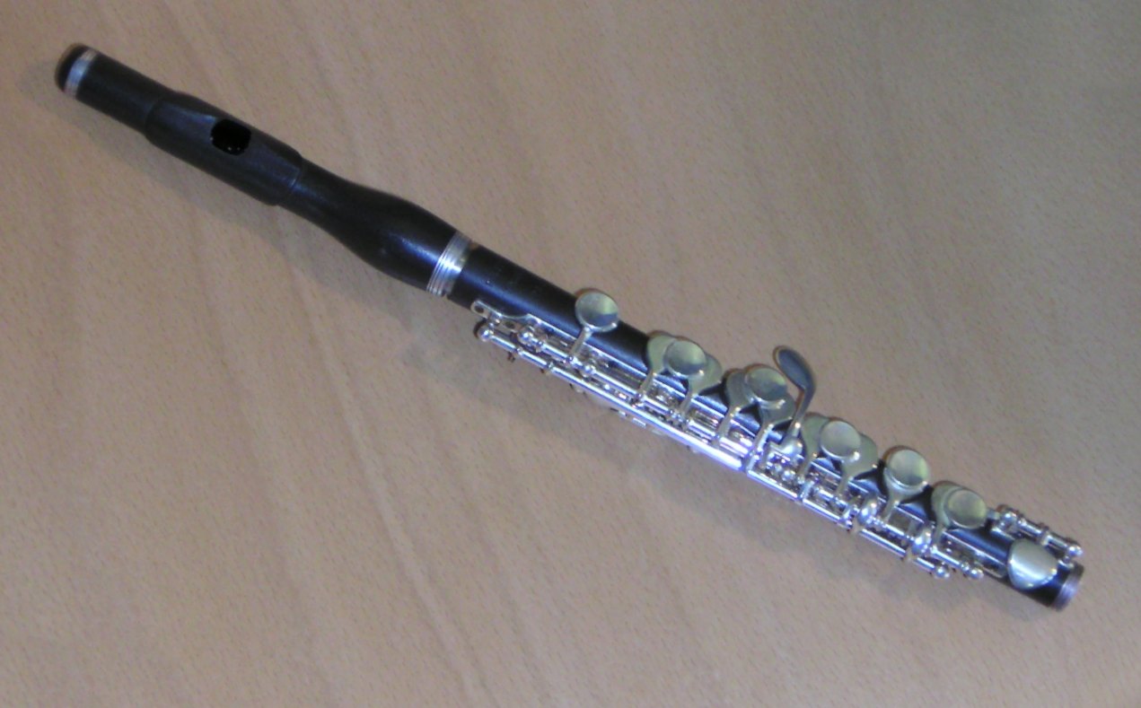 http://dic.academic.ru/pictures/wiki/files/112/piccolo_flute2.jpg