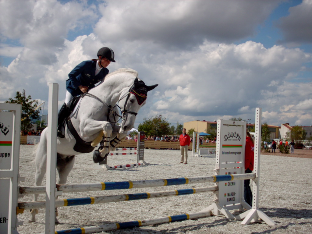 http://dic.academic.ru/pictures/wiki/files/115/showjumping_white_horse.jpg