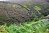 Boundary Wall on Monk's Moor, Upper Teesdale - geograph.org.uk - 73980.jpg