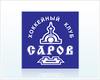 Sarov HC Logo.png