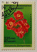 у какого побережья африки расположен остров мадагаскар. 125px Malagasy stamp2. у какого побережья африки расположен остров мадагаскар фото. у какого побережья африки расположен остров мадагаскар-125px Malagasy stamp2. картинка у какого побережья африки расположен остров мадагаскар. картинка 125px Malagasy stamp2