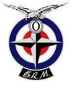 BRM Logo.jpg