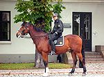 Mounted policeman in Oslo (Norway).jpg