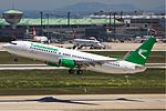 Turkmenistan Airlines Boeing 737-800 green Karakas.jpg