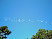 Bling-Bling Skywriting David Shankbone.jpg