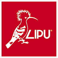 LIPU logo.jpg