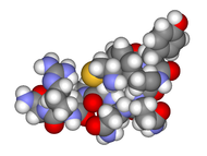 Arginine vasopressin3d.png