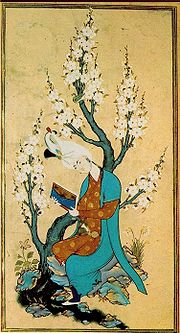 Султан Мухаммед. Юноша с книгой. Миниатюра, 1540e