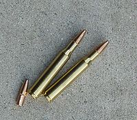 270 Winchester Cartridge.jpg