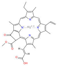 Хлорофилл c1: химическая формула