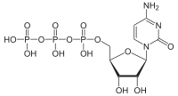 Цитидинтрифосфат: химическая формула