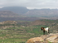 Ethiopian Highlands 01.jpg