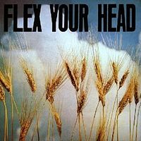 Обложка альбома «Flex Your Head» (VA, 1982)