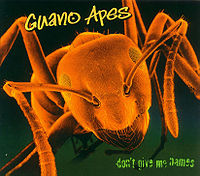 Обложка альбома «Don’t Give Me Names» (Guano Apes, 2000)