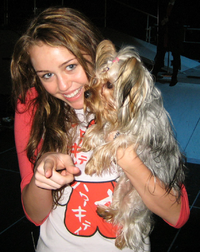 Mileydog.PNG