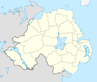 Даунпатрик (Северная Ирландия)