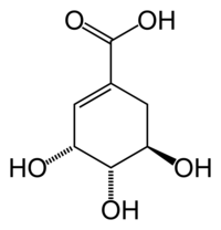 Шикимовая кислота: химическая формула