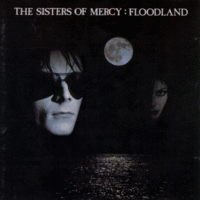 Обложка альбома «Floodland» (The Sisters of Mercy, 1987)