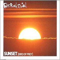 Обложка сингла «Sunset (Bird of Prey)» (Fatboy Slim, 2000)