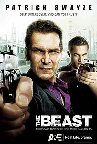 The Beast 2009 TV.jpg