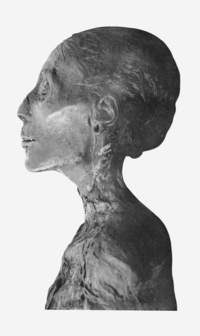 Thutmosis IV mummy head profile.png