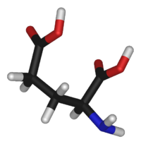 Глутаминовая кислота: вид молекулы