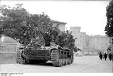 Bundesarchiv Bild 101I-316-1161-22A, Italien, Panzerjäger Nashorn-Hornisse.jpg