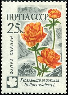 Изображение цветка на почтовой марке СССР Изображение цветка на почтовой марке СССР
